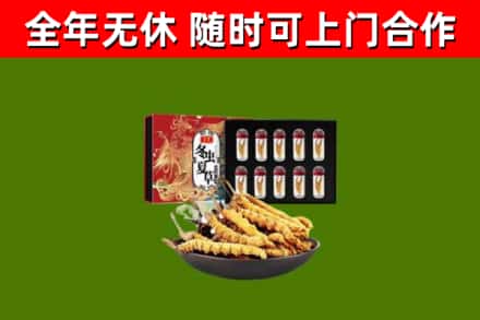 华龙回收冬虫夏草价格