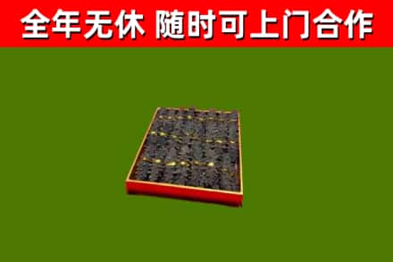 华龙回收海参